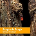 herb-pharm-sangre-de-drago-for-external--5.jpg