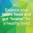 3-brains-by-natural-factors-mental-sunsh-3.jpg