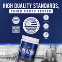 micronized-creatine-monohydrate-powder-5-6.jpg