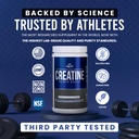 micronized-creatine-monohydrate-powder-5-3.jpg