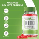 rize-labs-slimlife-evolution-keto-gummie-2.jpg