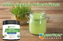 wheatgrass-powder-usda-certified-organic-6.jpg