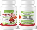 dash-of-vigor-red-vine-leaf-extract-viti-2.jpg
