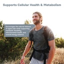 fasting-pro-nad-nmn-trimethylglycine-tmg-6.jpg