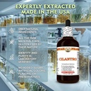 hawaii-pharm-cilantro-extract-tincture-f-4.jpg