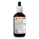 hawaii-pharm-brahmi-extract-tincture-for-3.jpg