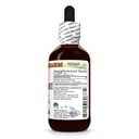 hawaii-pharm-brahmi-alcohol-free-extract-2.jpg