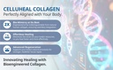 cellufil-collagen-particles-for-advanced-6.jpg