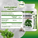 pure-moringa-oleifera-green-superfood-ca-4.jpg