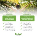 b-leaf-nature-moringa-and-quercetin-bund-4.jpg