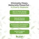 b-leaf-nature-moringa-and-quercetin-bund-5.jpg