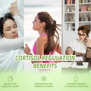 vita-plynxera-stress-sleep-support-bundl-5.jpg
