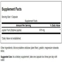 swanson-jujube-fruit-full-spectrum-herba-2.jpg