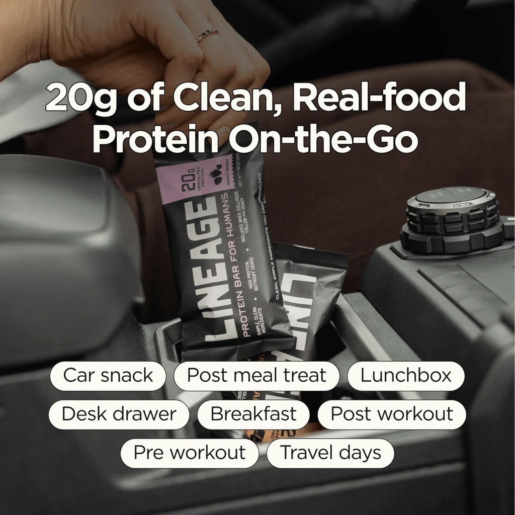 lineage-provisions-protein-bar-chocolate-6.jpg