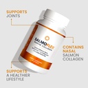 vitasei-salmoflex-marine-collagen-peptid-4.jpg