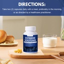 serotonin-and-dopamine-supplements-dual--4.jpg