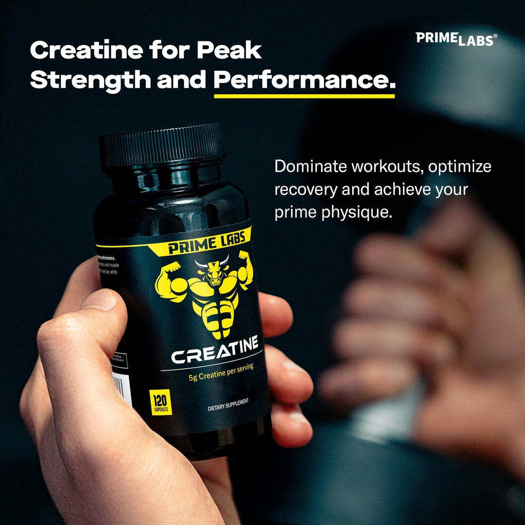 prime-labs-creatine-monohydrate-saw-palm-3.jpg