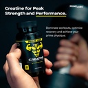 prime-labs-creatine-monohydrate-saw-palm-3.jpg