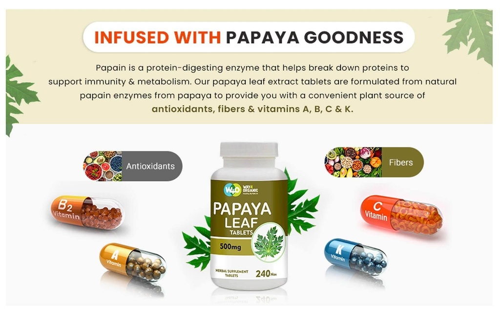 papaya-leaf-extract-capsules-tablets-500-5.jpg