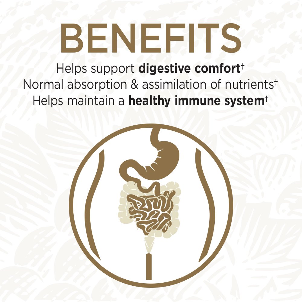 garden-of-life-probiotic-digestive-enzym-3.jpg