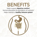 garden-of-life-probiotic-digestive-enzym-3.jpg