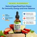 pella-nutrition-sea-moss-drops-with-blad-2.jpg