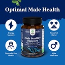 bundle-of-male-fertility-supplement-for--4.jpg
