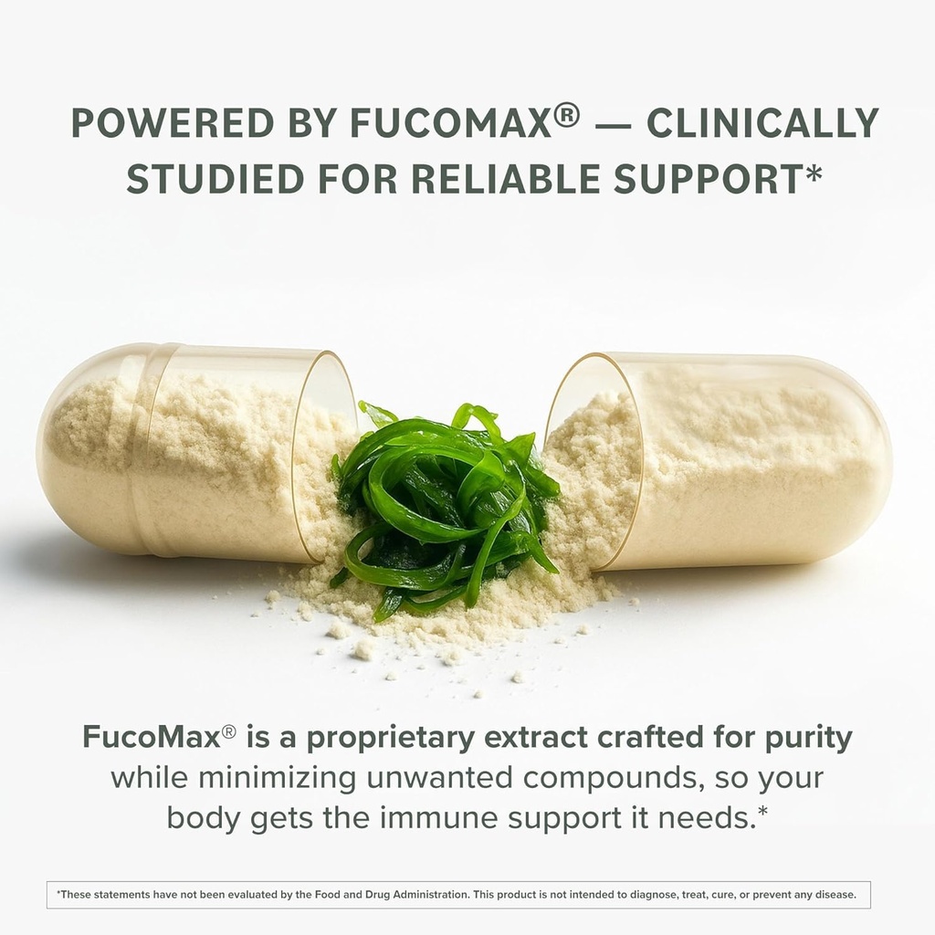 prominent-nutrition-fucoidan-gut-health--4.jpg