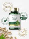 carlyle-kale-supplement-120-capsules-her-5.jpg
