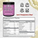 barlean-s-gut-health-powder-intestinal-r-2.jpg