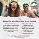 barlean-s-gut-health-powder-intestinal-r-6.jpg