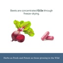 eclectic-herb-organic-beet-juice-capsule-6.jpg