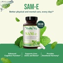 healthy-way-500mg-sam-e-supplement-high--3.jpg