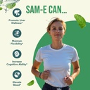 healthy-way-500mg-sam-e-supplement-high--6.jpg