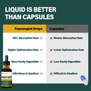 kudzu-root-extract-drops-for-liver-suppo-4.jpg