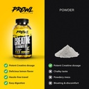 creatine-monohydrate-gummies---creatine--6.jpg