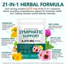 lymphatic-drainage-supplements-herbal-bl-4.jpg