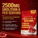urolithin-a-supplement-2500mg-with-nad-r-6.jpg