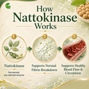 nattokinase-supplement-vitamin-k2-free-n-5.jpg