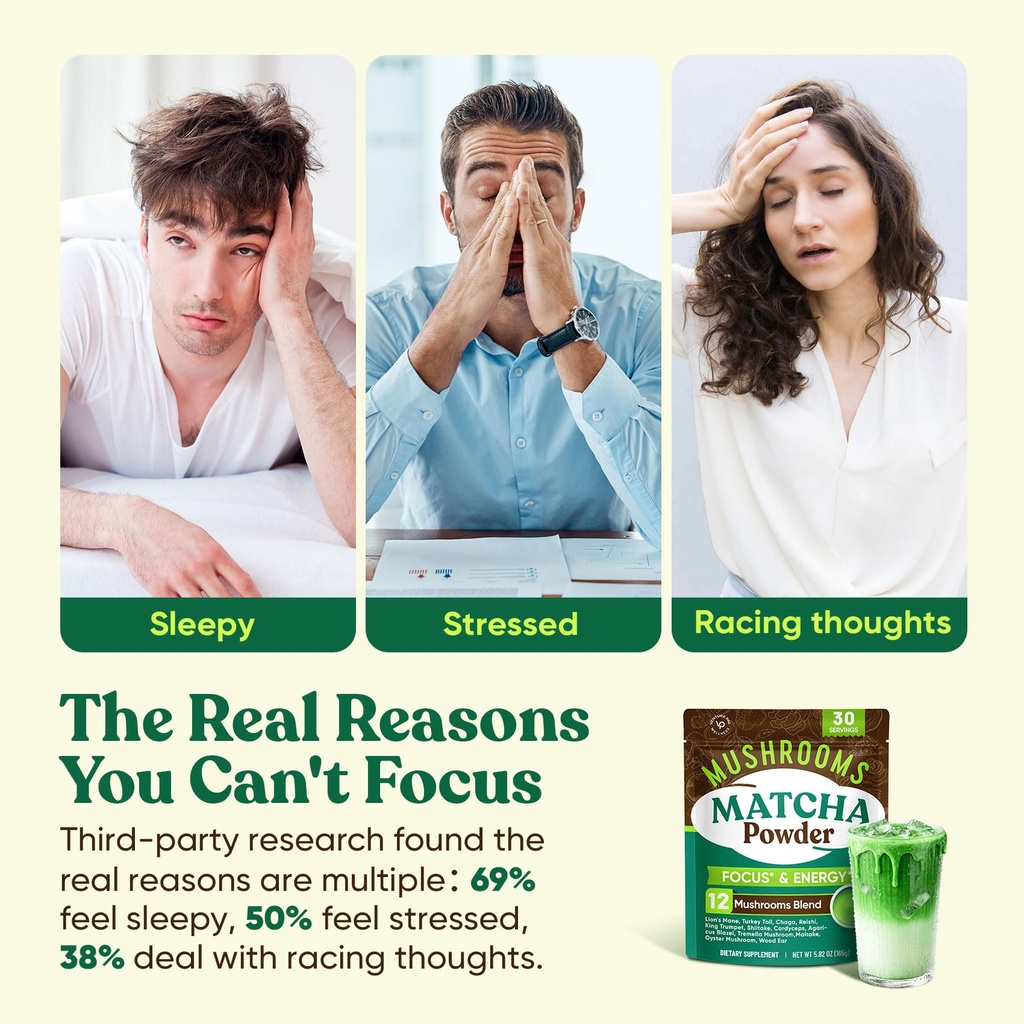 venture-pal-mushroom-matcha-powder-13-su-4.jpg