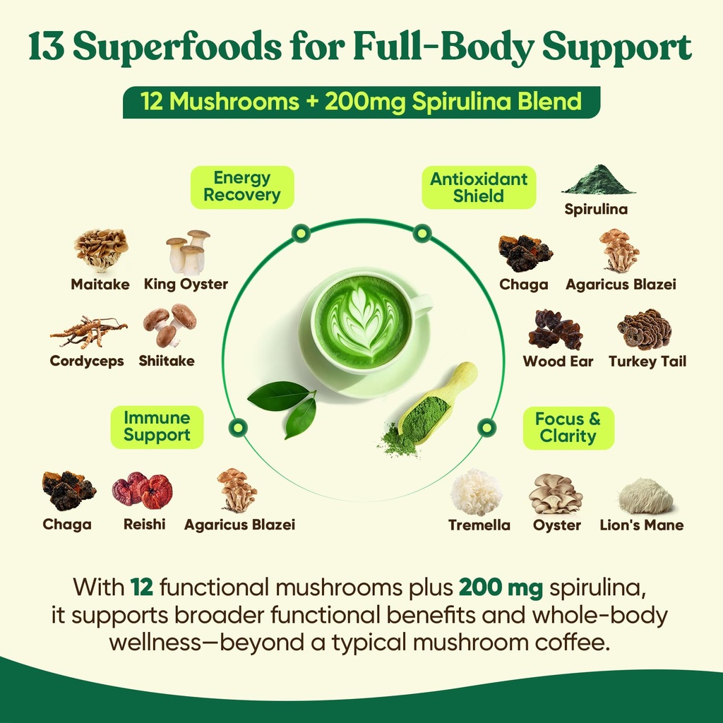 venture-pal-mushroom-matcha-powder-13-su-3.jpg