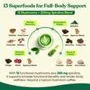 venture-pal-mushroom-matcha-powder-13-su-3.jpg