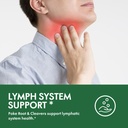 lymph-cleanse-herbal-drops-natural-poke--2.jpg