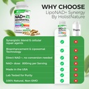 nad-supplement-1-360mg-max-strength-lipo-5.jpg