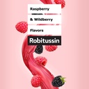 robitussin-dm-max-cough-plus-chest-conge-5.jpg