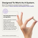 brain-101-by-dave-asprey-daily-brain-hea-6.jpg
