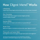 natura-health-products-digest-mend-suppl-3.jpg
