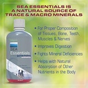 wellgenix-sea-essentials-liquid-trace-mi-6.jpg