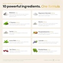 formulation-factory-self-obsessed-x-hear-2.jpg
