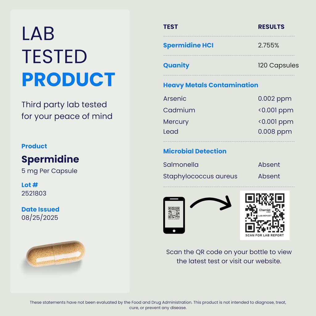 ultimate-spermidine-supplements-for-men--6.jpg